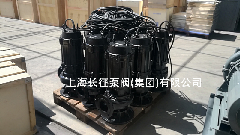 排污泵廠(chǎng)家