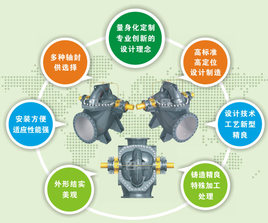 雙吸泵結構特點(diǎn)