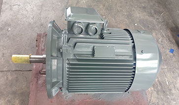 節能泵電機